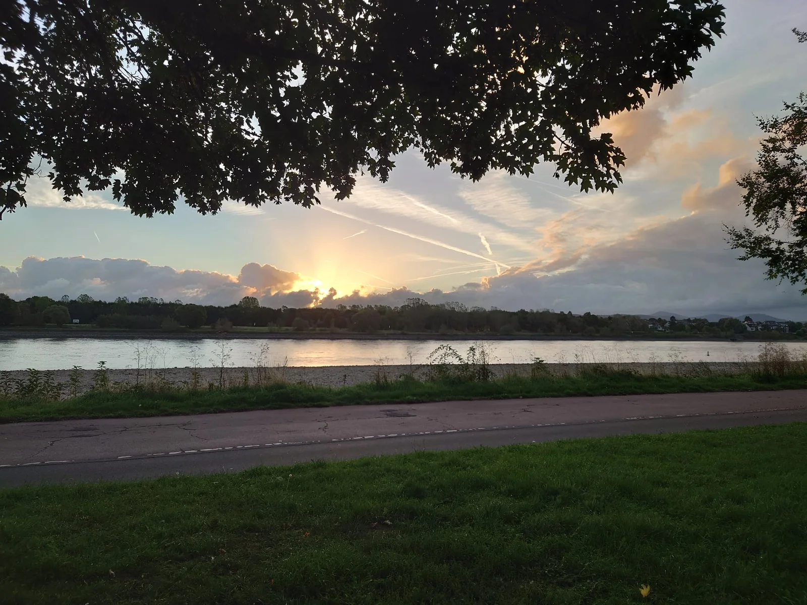 Sonnenaufgang am Flussufer mit Blick über Wiese und Radweg.